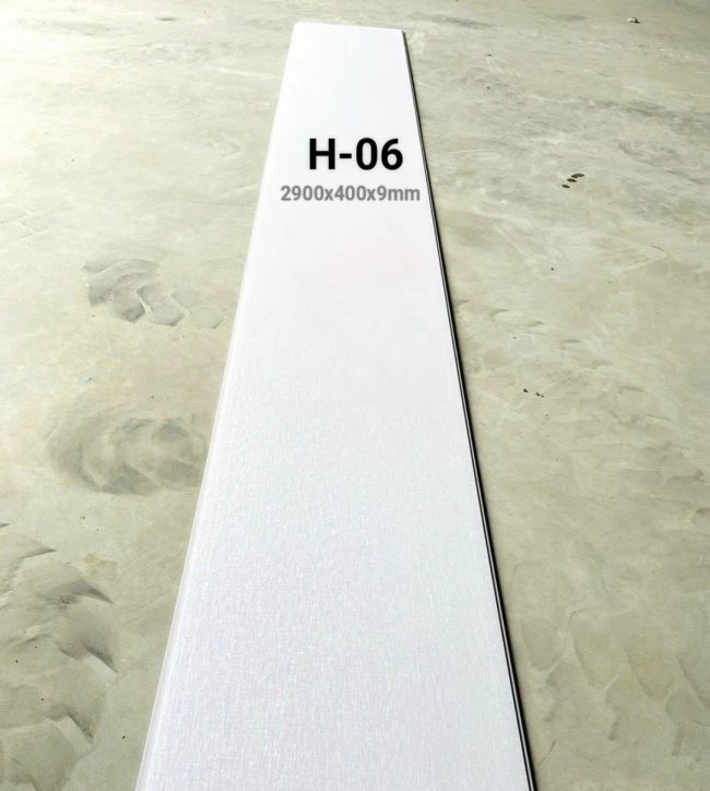 H-06