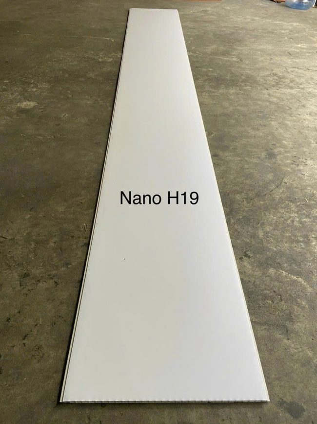 H-19