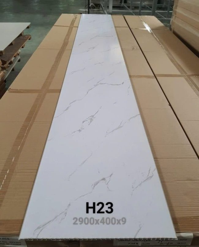 H23