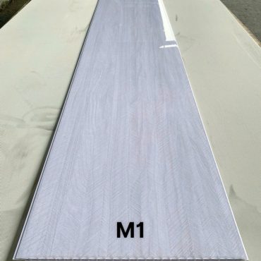 M1