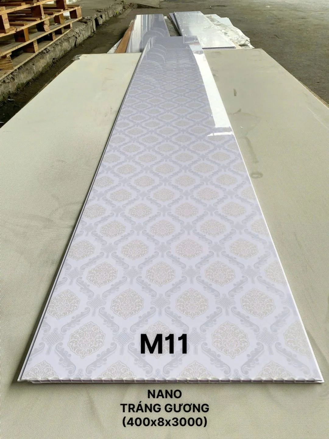 M11