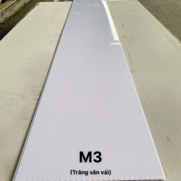 M3