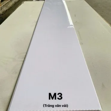 M3