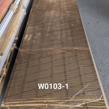 W0103-1